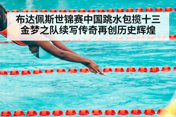 布达佩斯世锦赛中国跳水包揽十三金梦之队续写传奇再创历史辉煌