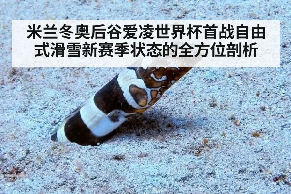 米兰冬奥后谷爱凌世界杯首战自由式滑雪新赛季状态的全方位剖析